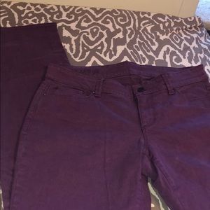 size 8 tall wine/purple wine colored pants